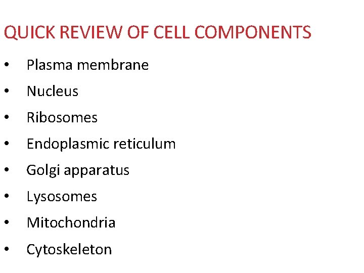 QUICK REVIEW OF CELL COMPONENTS • Plasma membrane • Nucleus • Ribosomes • Endoplasmic