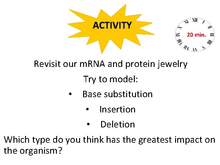 ACTIVITY 20 min. Revisit our m. RNA and protein jewelry Try to model: •