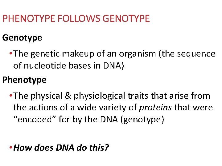 PHENOTYPE FOLLOWS GENOTYPE Genotype • The genetic makeup of an organism (the sequence of