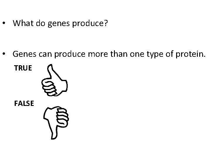  • What do genes produce? • Genes can produce more than one type