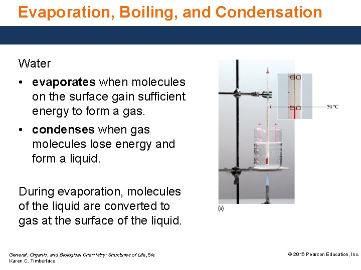 Evaporation, Boiling, and Condensation Water • evaporates when molecules on the surface gain sufficient