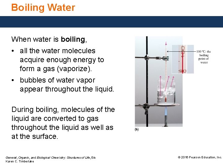 Boiling Water When water is boiling, • all the water molecules acquire enough energy