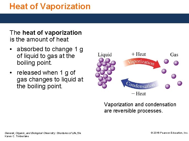 Heat of Vaporization The heat of vaporization is the amount of heat • absorbed