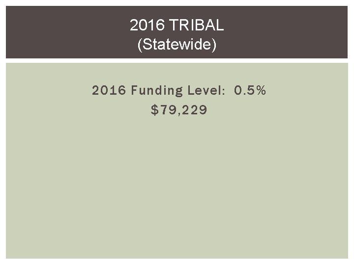 2016 TRIBAL (Statewide) 2016 Funding Level: 0. 5% $79, 229 