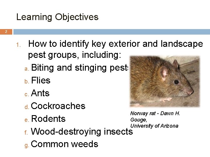 Learning Objectives 2 1. How to identify key exterior and landscape pest groups, including: