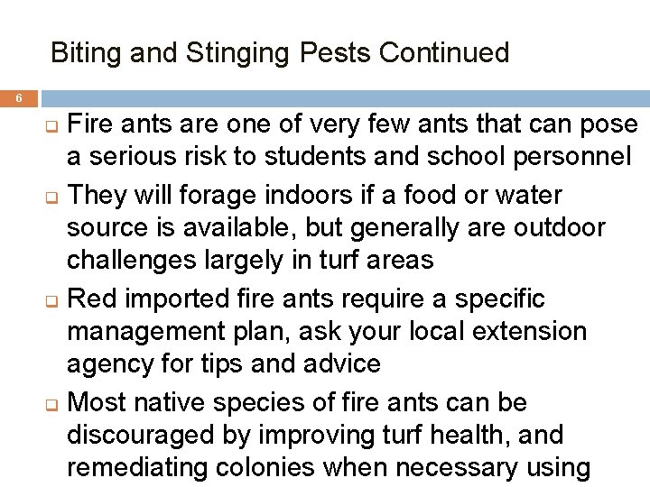 Biting and Stinging Pests Continued 6 Fire ants are one of very few ants