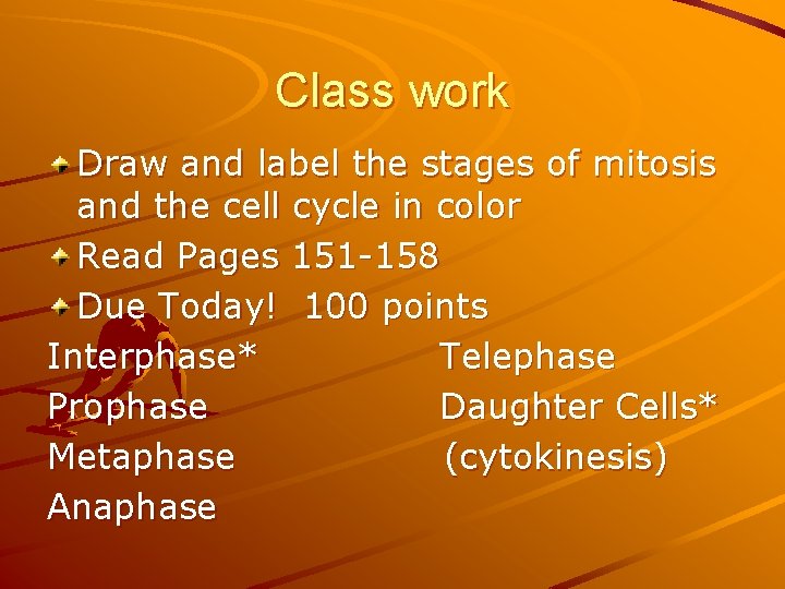 Class work Draw and label the stages of mitosis and the cell cycle in