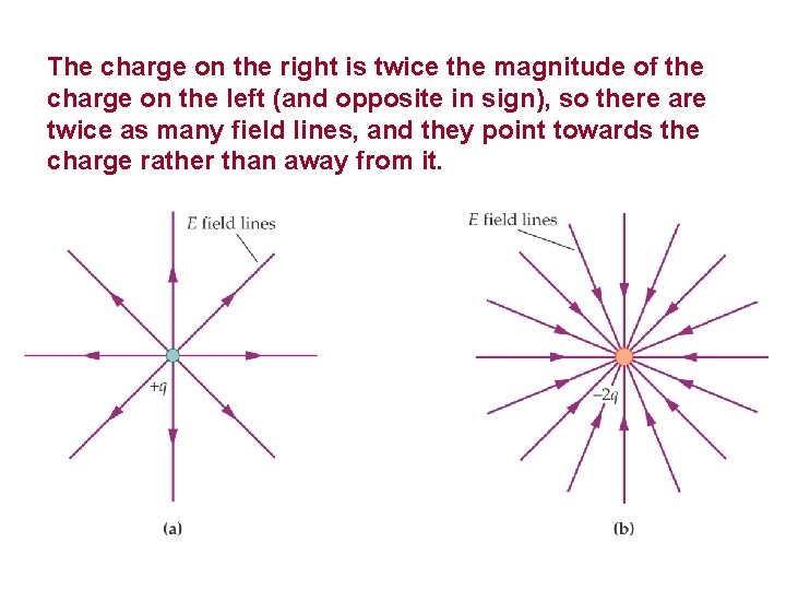 The charge on the right is twice the magnitude of the charge on the