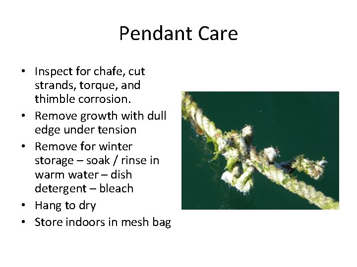 Pendant Care • Inspect for chafe, cut strands, torque, and thimble corrosion. • Remove Pendant Care • Inspect for chafe, cut strands, torque, and thimble corrosion. • Remove
