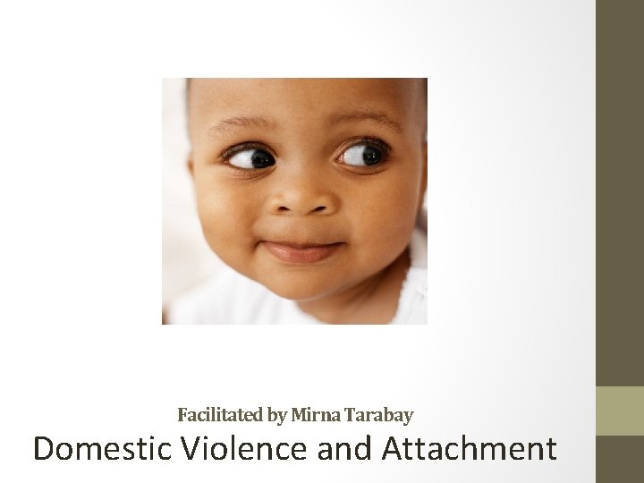 Facilitated by Mirna Tarabay Domestic Violence and Attachment 