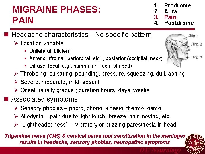 1. 2. 3. 4. MIGRAINE PHASES: PAIN Prodrome Aura Pain Postdrome n Headache characteristics—No