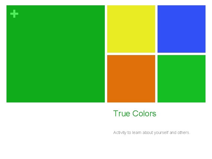 + True Colors Activity to learn about yourself and others. 