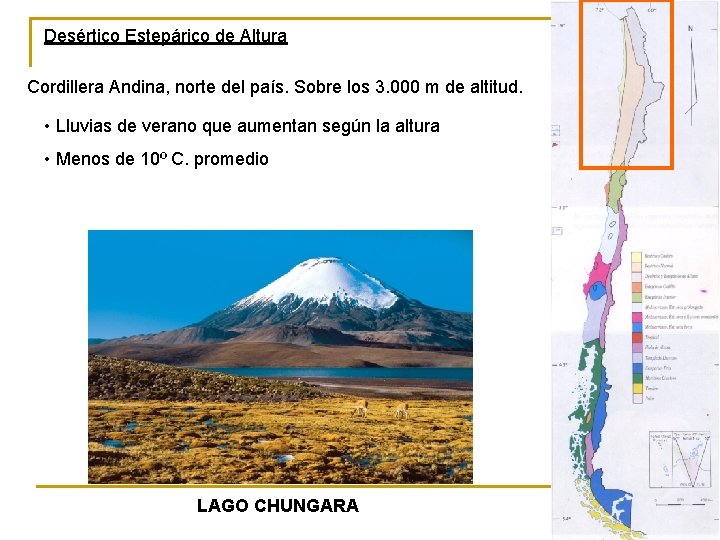 Desértico Estepárico de Altura Cordillera Andina, norte del país. Sobre los 3. 000 m