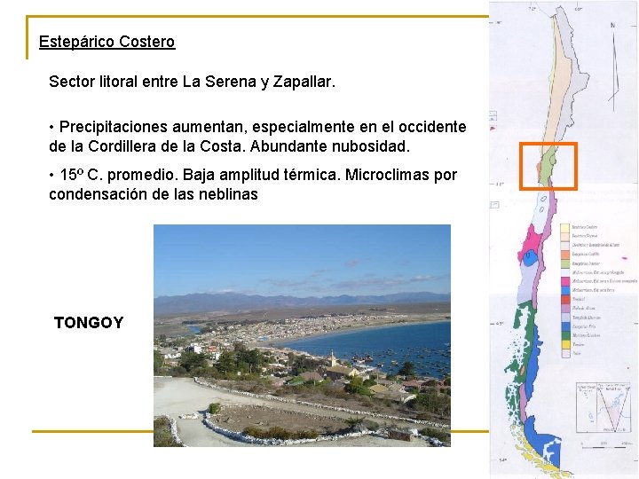 Estepárico Costero Sector litoral entre La Serena y Zapallar. • Precipitaciones aumentan, especialmente en