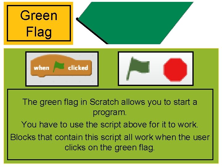 Green Flag The green flag in Scratch allows you to start a program. You