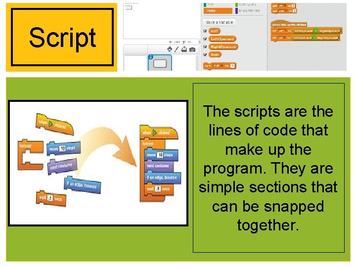Script The scripts are the lines of code that make up the program. They
