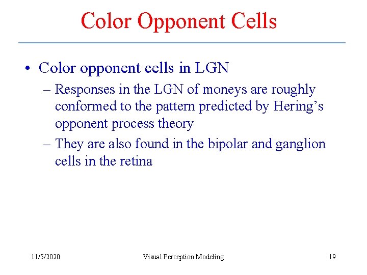 Color Opponent Cells • Color opponent cells in LGN – Responses in the LGN