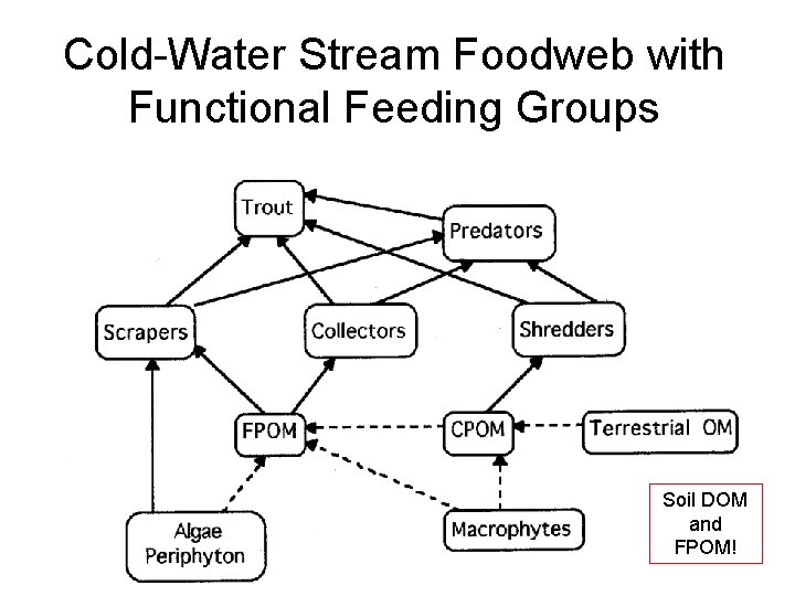 Cold-Water Stream Foodweb with Functional Feeding Groups Soil DOM and FPOM! 