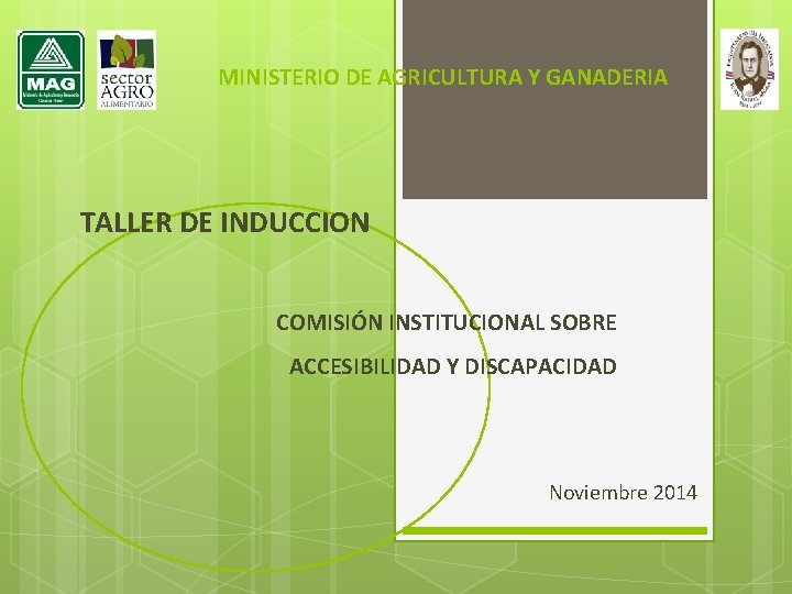 MINISTERIO DE AGRICULTURA Y GANADERIA TALLER DE INDUCCION COMISIÓN INSTITUCIONAL SOBRE ACCESIBILIDAD Y DISCAPACIDAD
