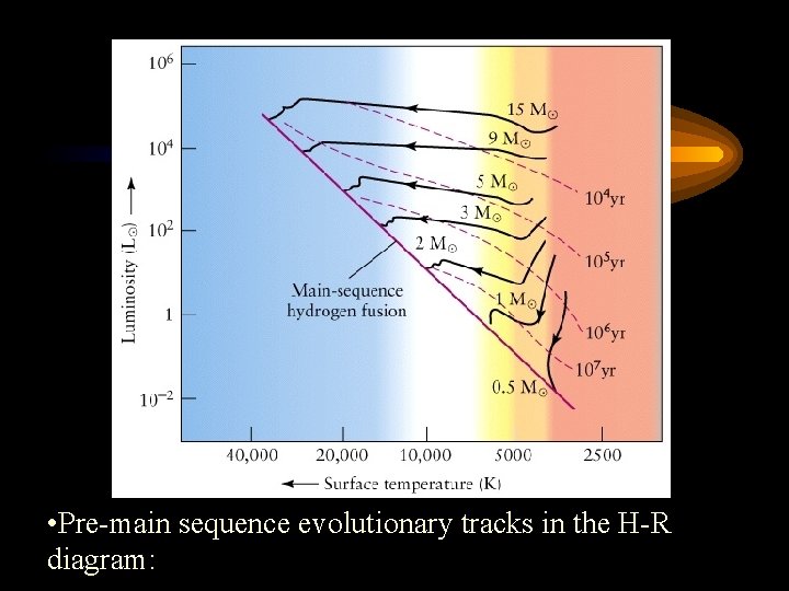  • Pre-main sequence evolutionary tracks in the H-R diagram: 