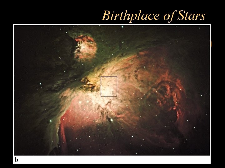 Birthplace of Stars 