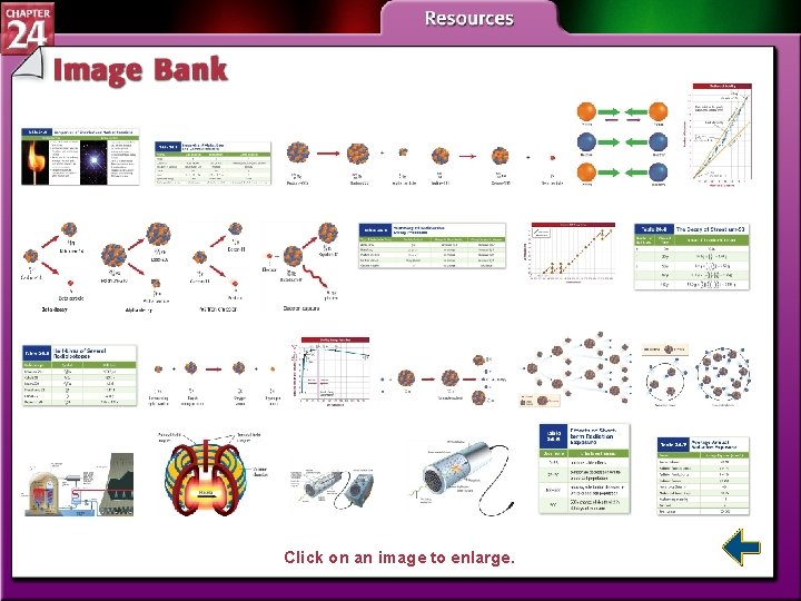 Click on an image to enlarge. 