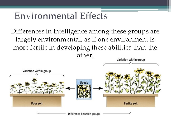 Environmental Effects Differences in intelligence among these groups are largely environmental, as if one