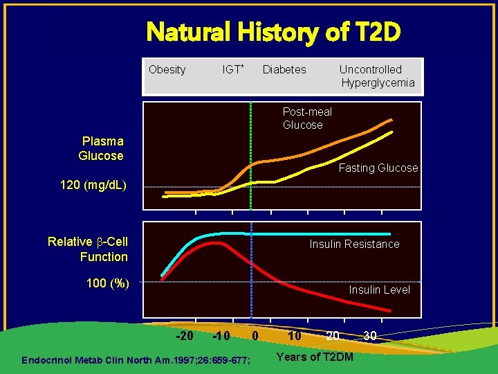Natural History of T 2 D Obesity IGT* Diabetes Uncontrolled Hyperglycemia Post-meal Glucose Plasma