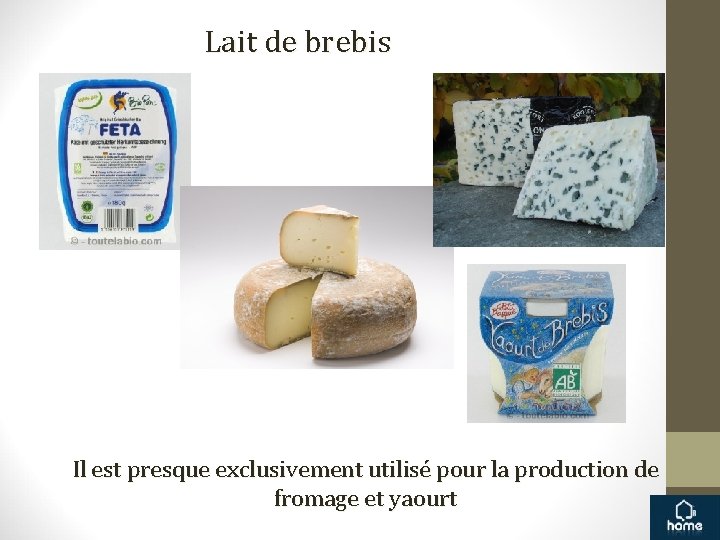 Lait de brebis Il est presque exclusivement utilisé pour la production de fromage et