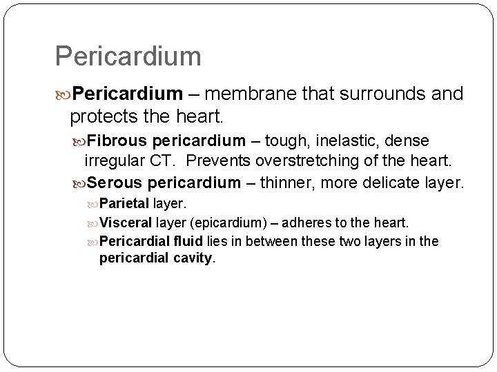 Pericardium – membrane that surrounds and protects the heart. Fibrous pericardium – tough, inelastic,