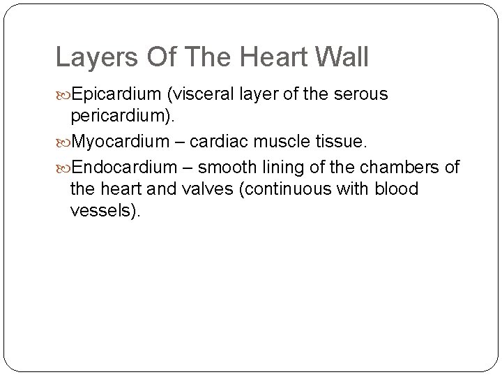 Layers Of The Heart Wall Epicardium (visceral layer of the serous pericardium). Myocardium –