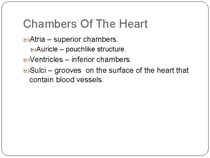 Chambers Of The Heart Atria – superior chambers. Auricle – pouchlike structure. Ventricles –