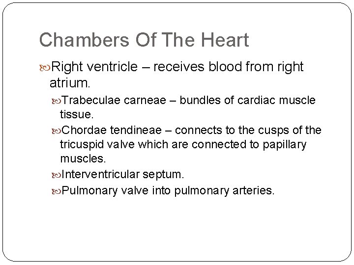 Chambers Of The Heart Right ventricle – receives blood from right atrium. Trabeculae carneae