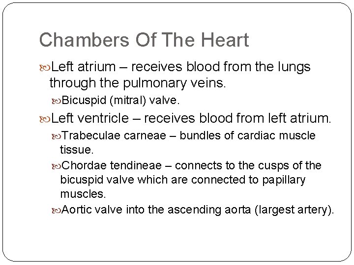 Chambers Of The Heart Left atrium – receives blood from the lungs through the