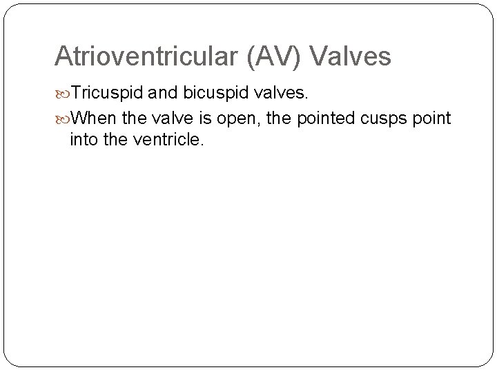 Atrioventricular (AV) Valves Tricuspid and bicuspid valves. When the valve is open, the pointed