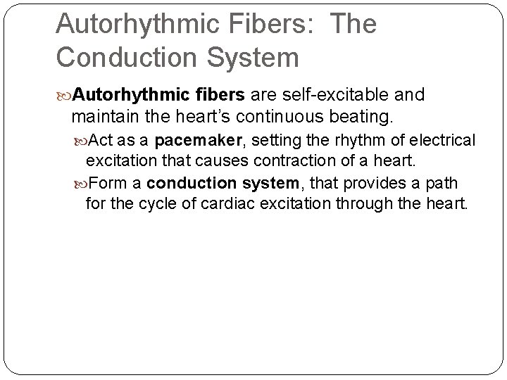 Autorhythmic Fibers: The Conduction System Autorhythmic fibers are self-excitable and maintain the heart’s continuous