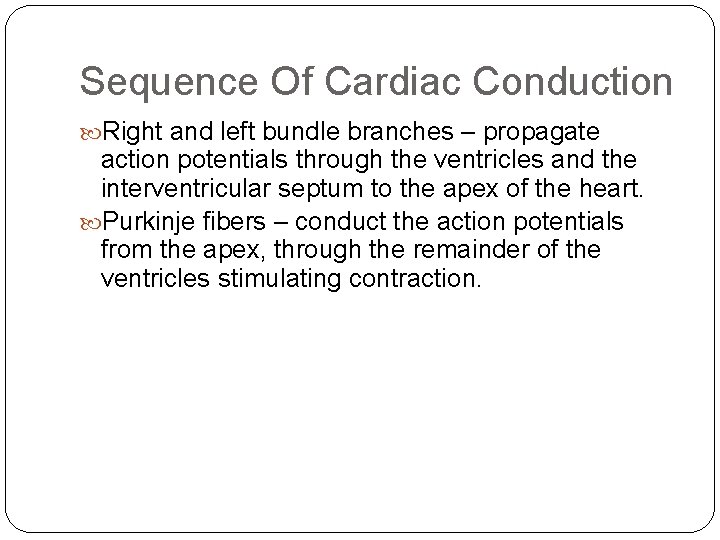 Sequence Of Cardiac Conduction Right and left bundle branches – propagate action potentials through