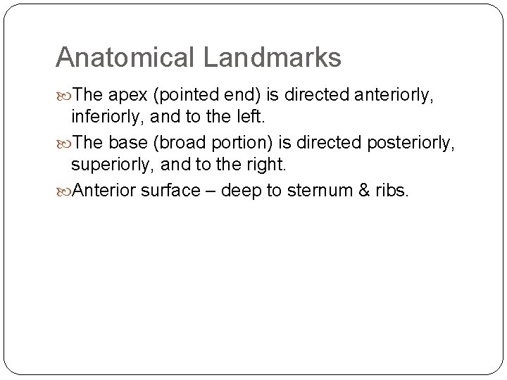 Anatomical Landmarks The apex (pointed end) is directed anteriorly, inferiorly, and to the left.