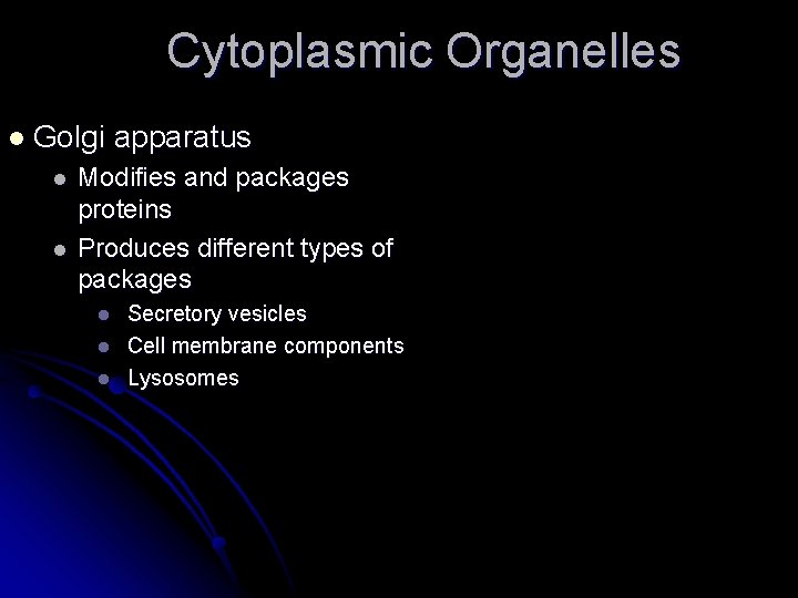 Cytoplasmic Organelles l Golgi l l apparatus Modifies and packages proteins Produces different types