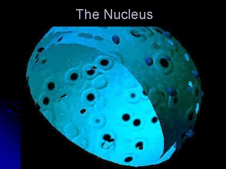 The Nucleus 