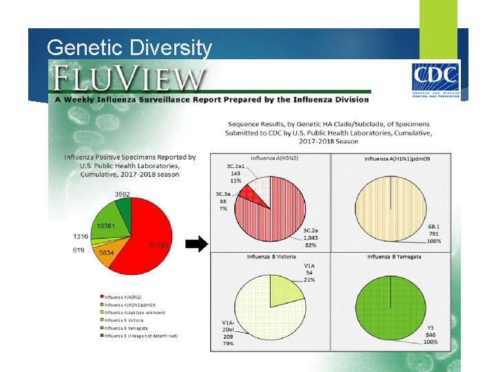 Genetic Diversity 