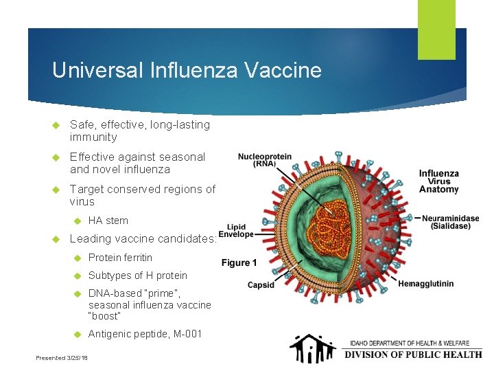 Universal Influenza Vaccine Safe, effective, long-lasting immunity Effective against seasonal and novel influenza Target