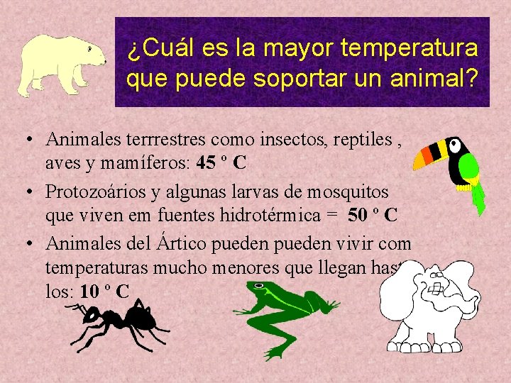 ¿Cuál es la mayor temperatura que puede soportar un animal? • Animales terrrestres como