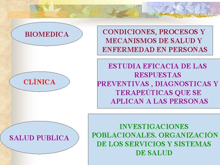BIOMEDICA CLÍNICA SALUD PUBLICA CONDICIONES, PROCESOS Y MECANISMOS DE SALUD Y ENFERMEDAD EN PERSONAS