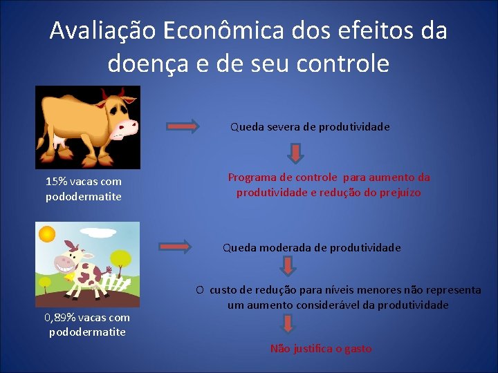 Avaliação Econômica dos efeitos da doença e de seu controle Queda severa de produtividade