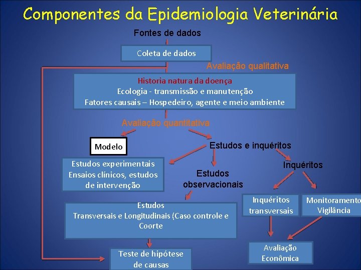 Componentes da Epidemiologia Veterinária Fontes de dados Coleta de dados Avaliação qualitativa Historia natura