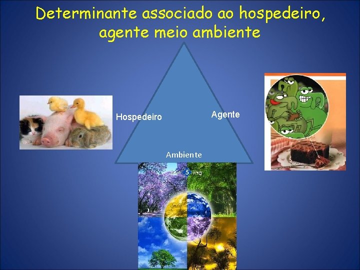 Determinante associado ao hospedeiro, agente meio ambiente Agente Hospedeiro Ambiente 