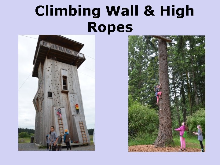 Climbing Wall & High Ropes 