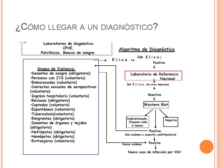 ¿CÓMO LLEGAR A UN DIAGNÓSTICO? 