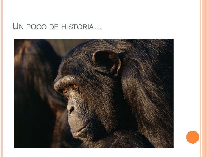 UN POCO DE HISTORIA… 